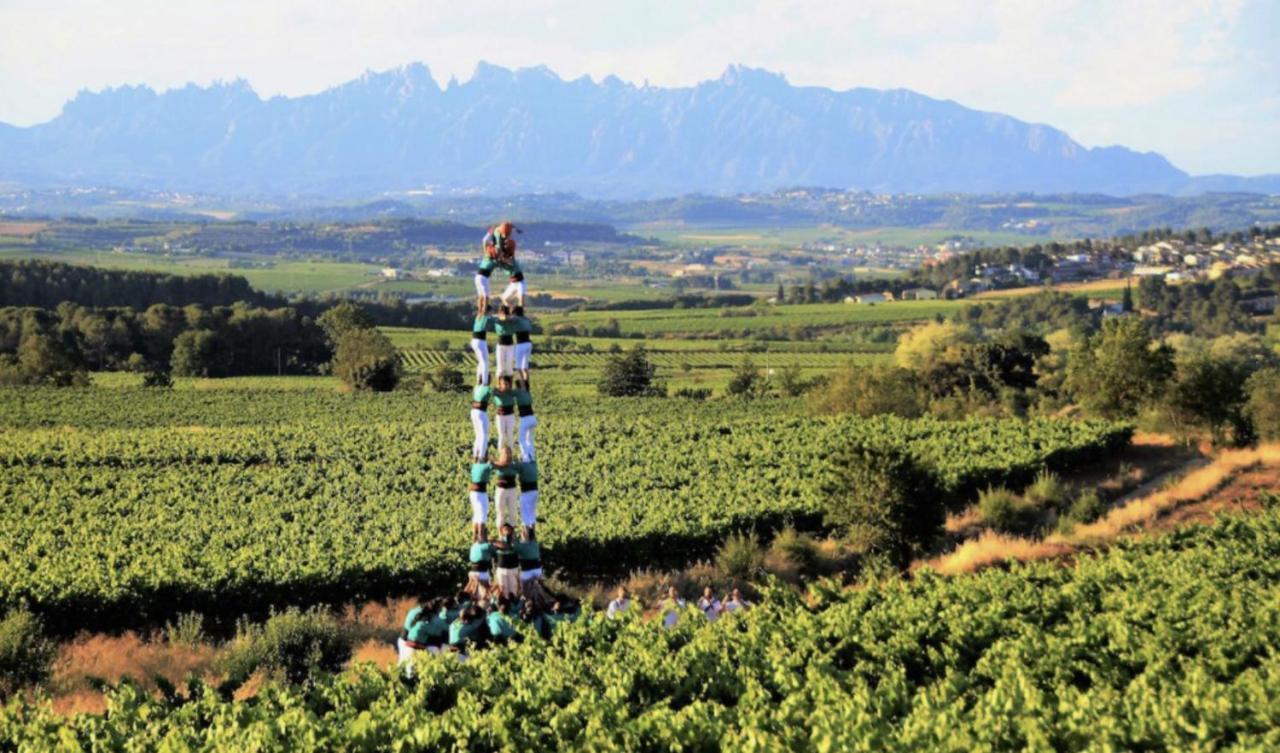 Tina De Vila, En La Capital Del Vino Vilafranca del Penedès Kültér fotó