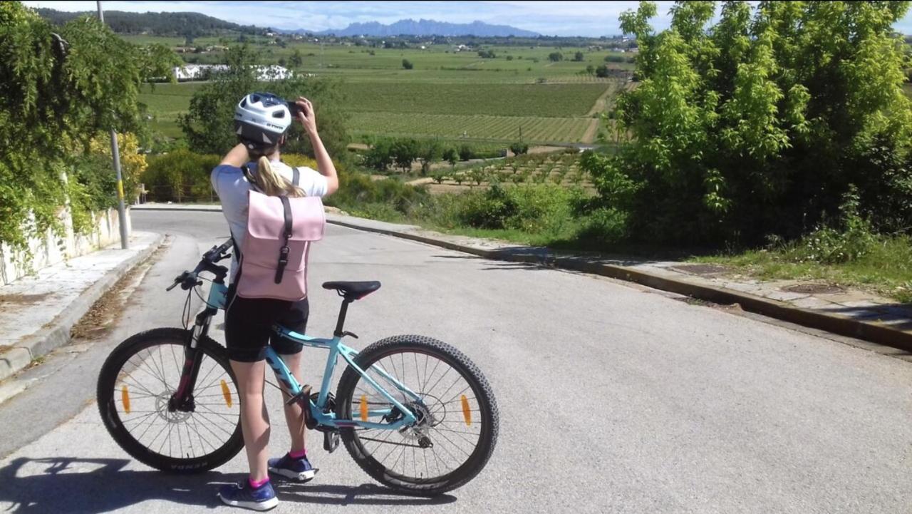 Tina De Vila, En La Capital Del Vino Vilafranca del Penedès Kültér fotó